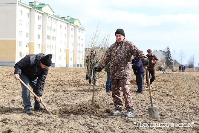 С 20 марта в Ляховичском районе стартует месячник по благоустройству и наведению порядка на земле
